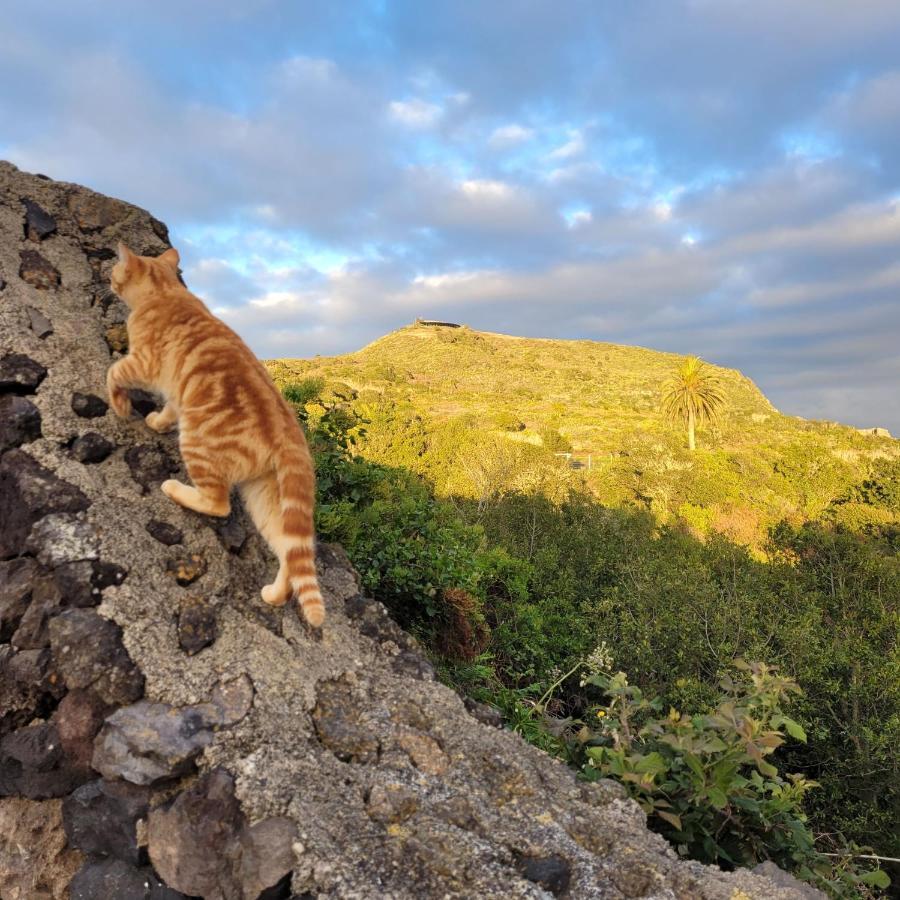 Finca El Lance El Tanque Экстерьер фото